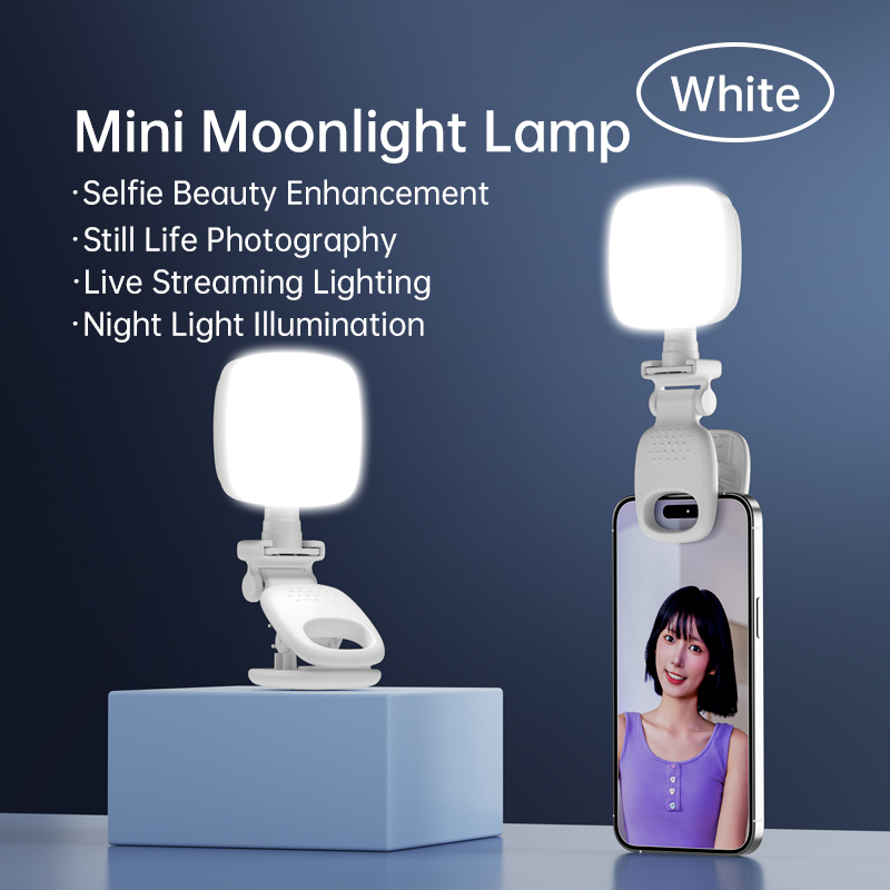 Photography Lighting Description - Portable LED Selfie lumière caméra Mini