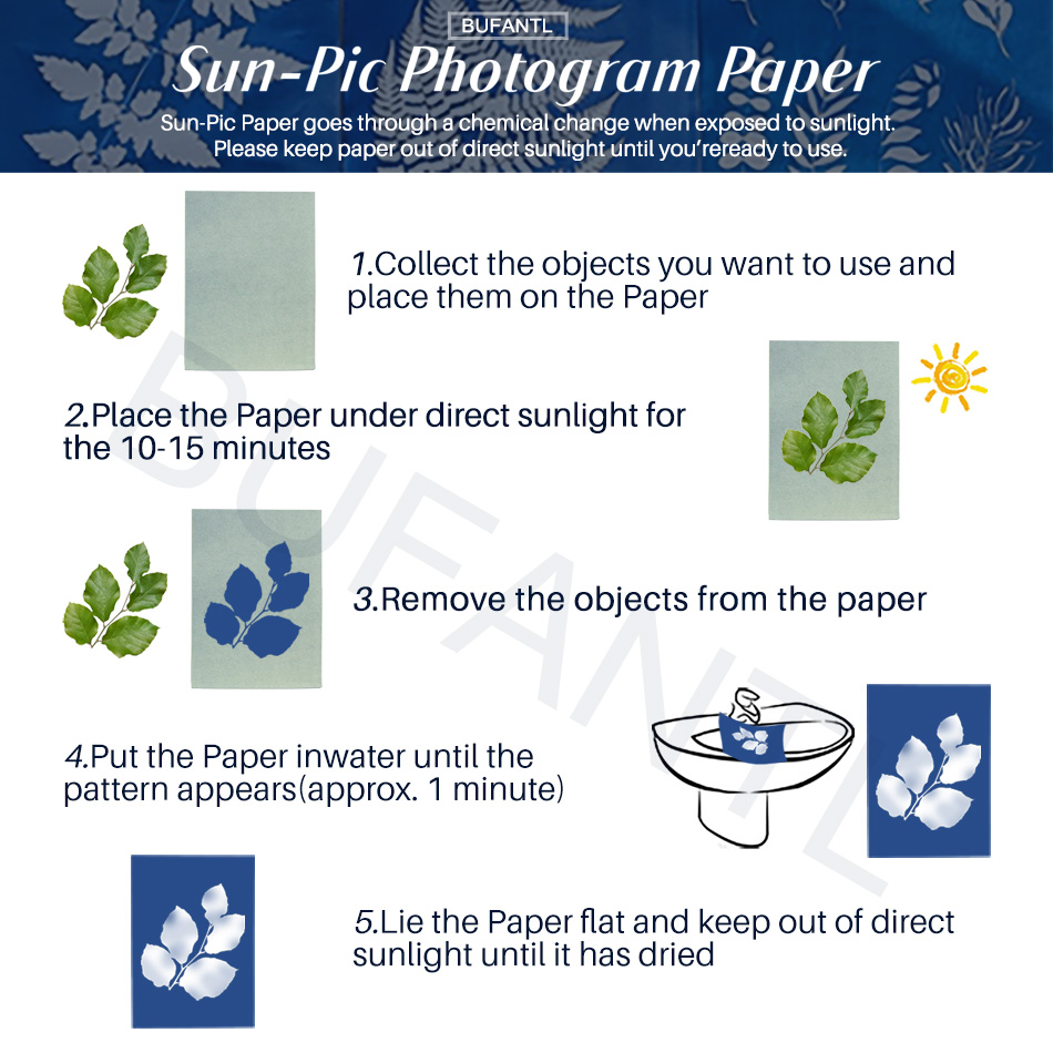 Papier Cyanotype 12 Feuilles R - Photography Lighting For Beginners avis et prix